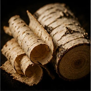 Birch