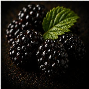 Blackberry