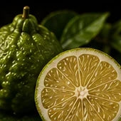 Calabrian Bergamot