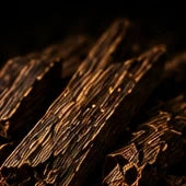 Cambodian Oud