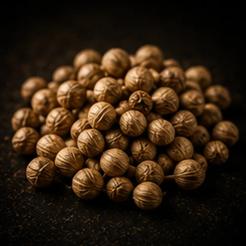 Coriander