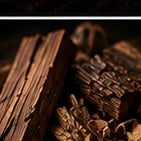 Dry Woods