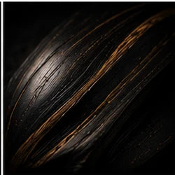Ebony Wood