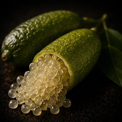 Finger Lime