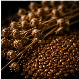 Flax