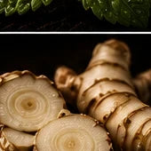 Galangal