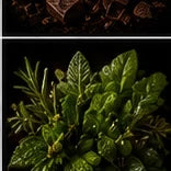 Green Herbs