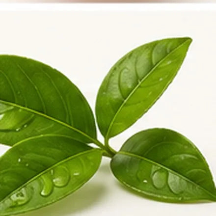 Green Leaves