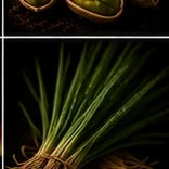 Haitian Vetiver