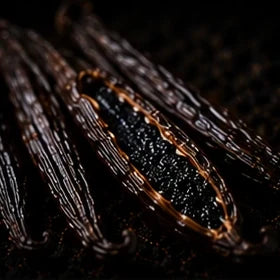Madagascar Vanilla