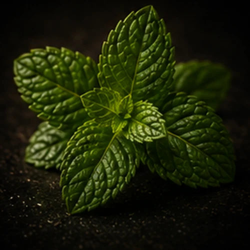Mint