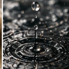 Petrichor