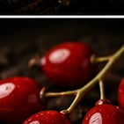 Rose Hip
