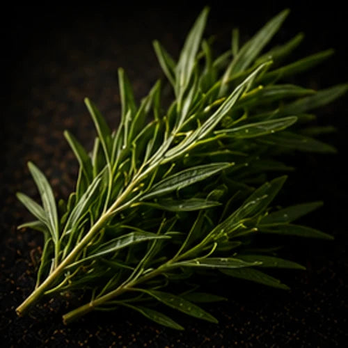 Rosemary
