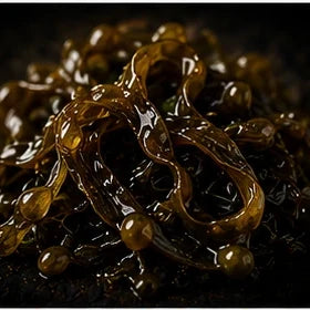 Seaweed