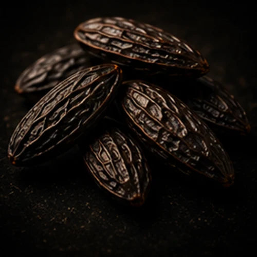Tonka Bean