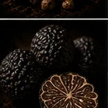 Truffle