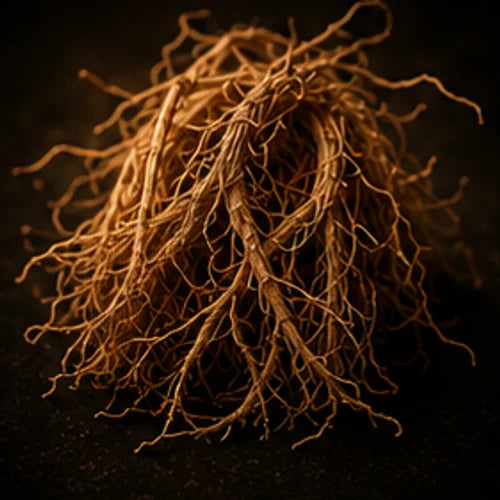 Vetiver