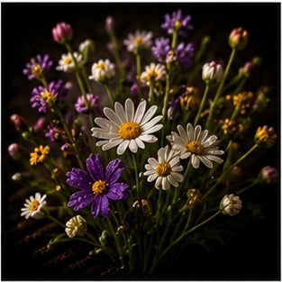 Wildflowers