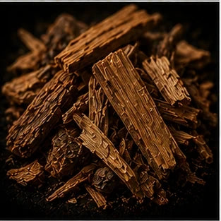 Woodsy Notes