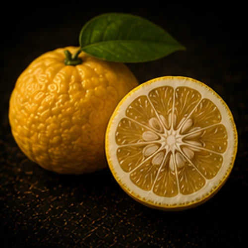 Yuzu